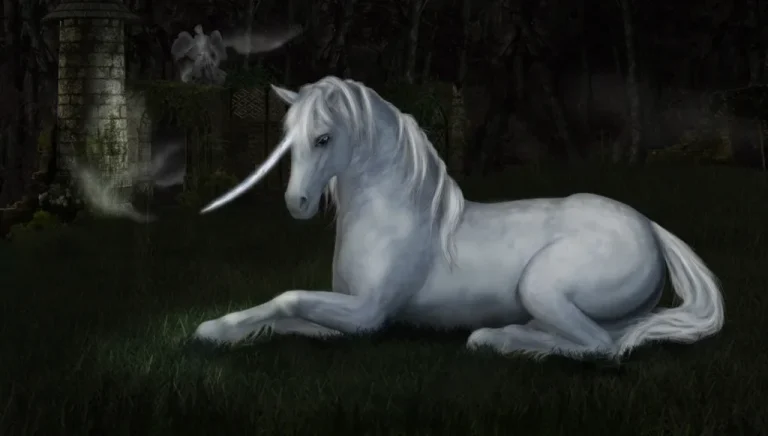 Unlocking the Magic of UnicornDelight88: A Colorful Journey